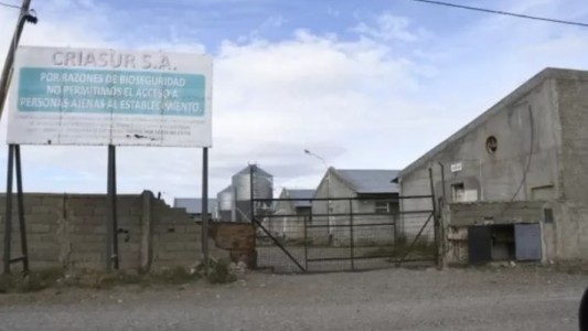 Rescataron a un hombre que estaba desaparecido hacía 20 años y era sometido a trabajo esclavo