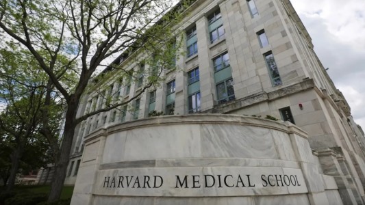 Conmoción en Harvard: acusan al jefe de la morgue de la universidad de vender restos humanos