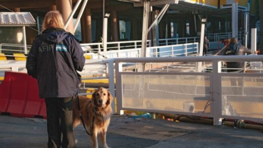 La Aduana da de baja una de las embarcaciones de Buquebus por su "penoso estado"