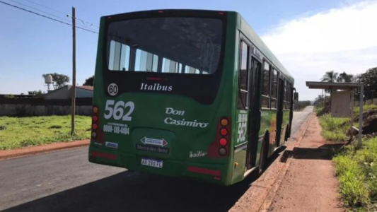 Robó un celular en un colectivo, se tiró por la ventanilla cuando estaba en marcha y murió