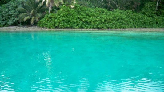 Misterio por la isla de los daltónicos