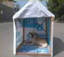 Formosa: Retiran cartelería de la campaña electoral y la destinarán a fabricar cuchas para perros y toldos
