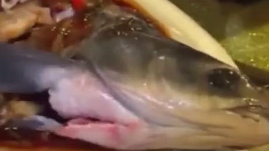 #EsViral Comía en un restaurante y el pescado en su plato comenzó a moverse