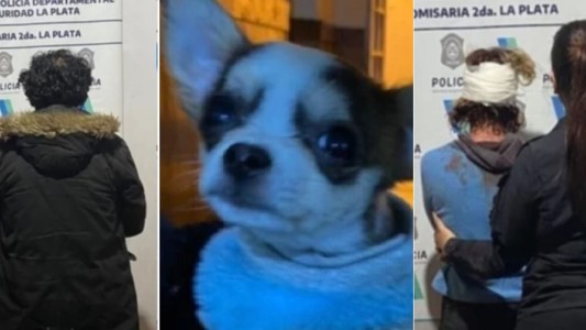 Pareja se tomó a trompadas por su perro chihuahua: ambos terminaron con heridas y detenidos