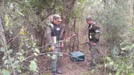 Chaco: hallaron 32 kilos más de cocaína a 60 metros de donde cayó la avioneta la semana pasada