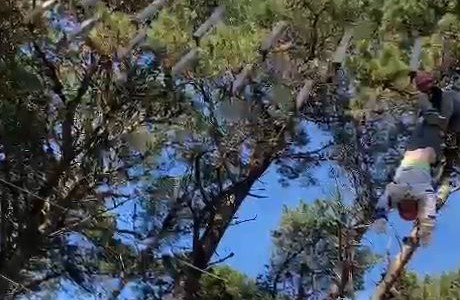 Video: rescataron a una nena que quedó colgando de un juego de un parque de Mar del Plata