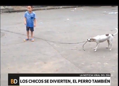 Video: el perro que juega a la soga con los chicos