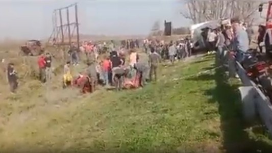 Chacabuco: volcó un camión en la ruta y los vecinos faenaron las vacas que transportaba
