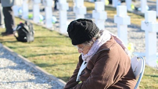 "Él estaba ahí": el dibujo que reúne a una madre y su hijo enterrado en Malvinas