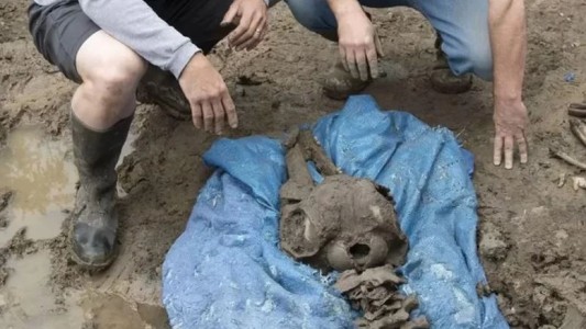 Instalaba una pileta para sus hijos y halló fósiles prehistóricos