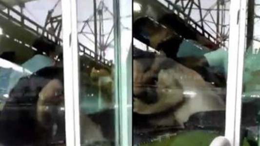 Renunció el dirigente de Gimnasia que se trompeó con jugadores del club