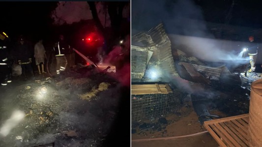 Se incendió un refugio de animales y murieron 17 perros