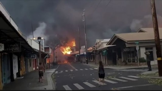 Son 93 los muertos por el incendio forestal en Hawai: recurren al ADN para identificarlos