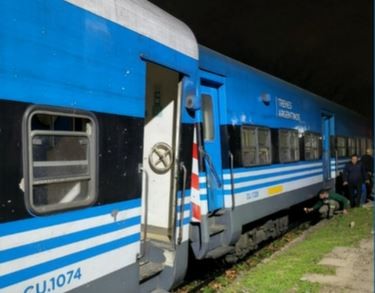 Descarriló un tren y hay demoras en la línea Mitre