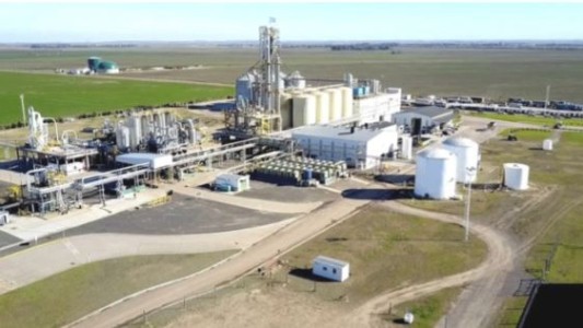 Pararon las 27 fábricas productoras de biodiesel