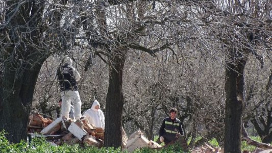 Inspeccionaron la presunta escena del crimen de Pérez Algaba: secuestraron una hoja de sierra