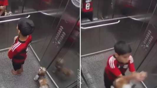 Video: un niño de 11 años salvó a su perra de morir ahorcada en un ascensor