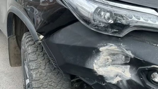 Video insólito: un perro se subió a una camioneta, la arrancó y chocó contra la pared de una casa