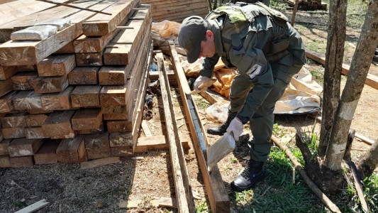 Incautan más de 2 toneladas de marihuana en el interior de vigas de madera en Misiones