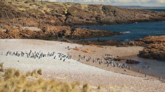 PreViaje 5 se lanza esta semana y tendría un tope de reintegro más alto