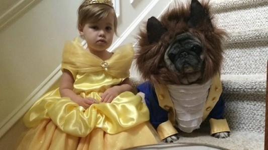 Foto viral:  Una nena y su perro son "La Bella y la Bestia" para Halloween