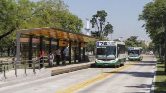 Para proteger 13 árboles, la Justicia rechazó el avance con un Metrobus en Parque Avellaneda