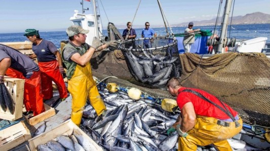 La industria pesquera propone incorporar a los beneficiarios de los planes sociales