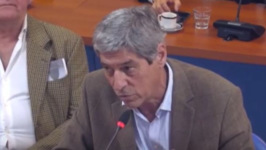 Cadena bovina: expertos expusieron los lineamientos estratégicos del proyecto