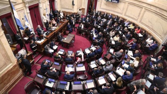 Senado: el bloque oficialista aprobó el pliego de la jueza Figueroa