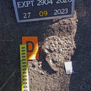 Hallan por primera vez la fosa común de una masacre indígena perpetrada por el Estado argentino