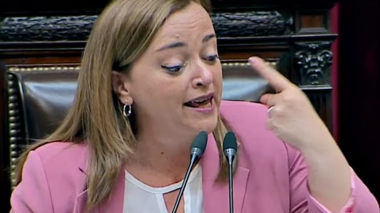 El tenso cruce entre Fernando Iglesias y Cecilia Moreau, en Diputados: "Cobarde"