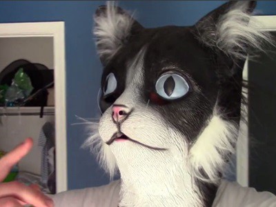 #EsViral Los gatitos asustados por su dueño