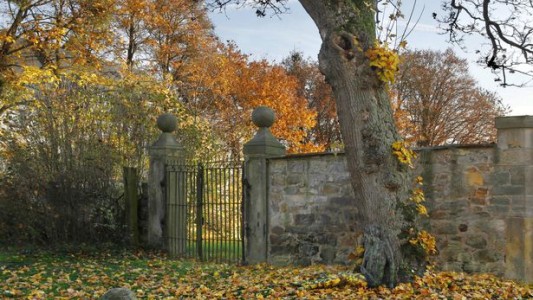 ¿Dónde está la mujer desnuda?