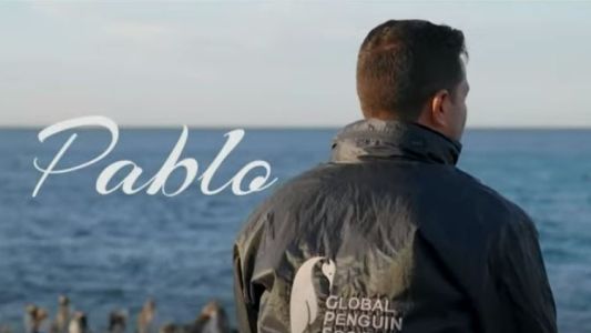 Te Presento: Pablo, el guardián de los pingüinos