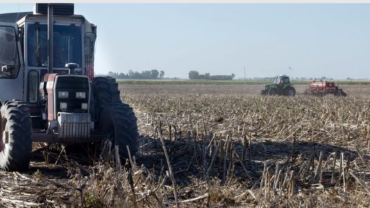 Por la sequía, cayó 50% la liquidación de divisas de la agroindustria en lo que va del año
