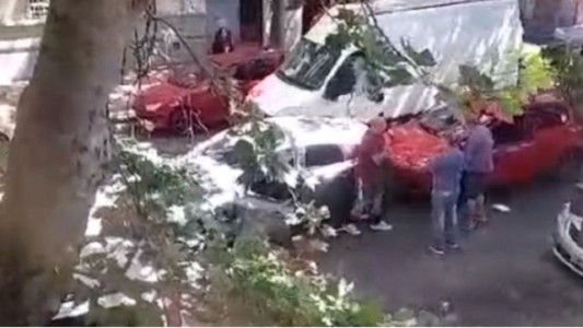 La Plata: Un ex juez, a las piñas por una discusión de tránsito