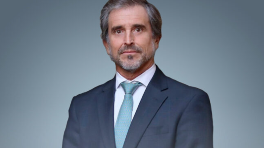 Benegas Lynch promoverá en el Congreso la derogación la ley de aborto: "La salvajada más espantosa"