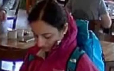 El Ejército se suma a la búsqueda de la turista estadounidense desaparecida el martes en El Chaltén