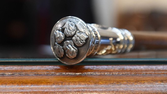 Detalle perruno y polémica con el "mentiroso" Pallarols: quiénes son los autores del bastón de Milei