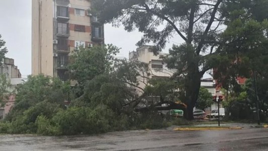 Temporal en Uruguay: un nene de ocho años y un joven murieron por la caída de árboles