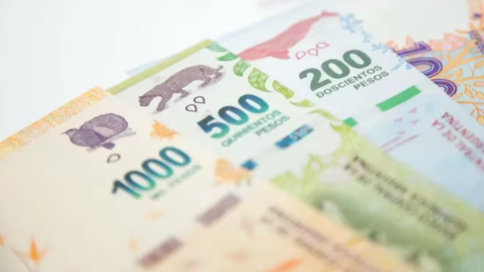 Por la alta inflación, el Banco Central prevé emitir billetes de $20.000 y $50.000