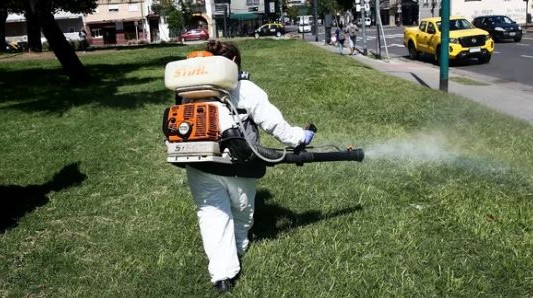 La Ciudad reforzó operativos de desinsectación en parques, plazas y espacios verdes
