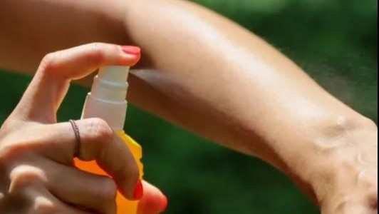 Invasión de mosquitos en AMBA: faltan repelentes y los precios se dispararon