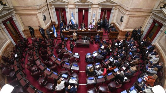 Senado: el oficialismo no pudo avanzar con la ley de boleta única y se dilata el tratamiento