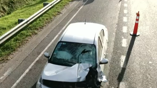 Intentó cruzar la Panamericana a pie, lo atropellaron y murió