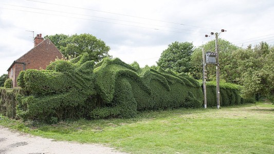 El hombre que creó un dragón en una planta de ligustrina