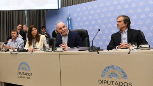 Espert: "Cuando el kirchnerismo no está en el poder, no te deja gobernar y si puede te voltea"