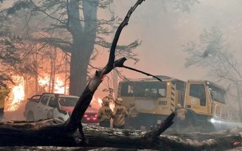 Incendio en Parque Nacional Los Alerces: cómo es el operativo para combatir las llamas