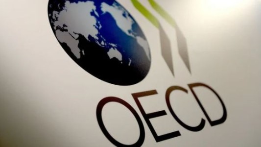 La OCDE empeoró sus previsiones para la Argentina: inflación del 250% y recesión del 2,4%