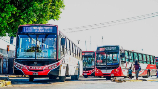 Transporte: el Gobierno redujo los subsidios a empresas para derivarlo "directamente" a usuarios